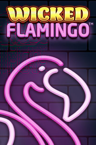 Wicked Flamingo