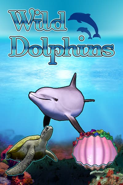 Wild Dolphins